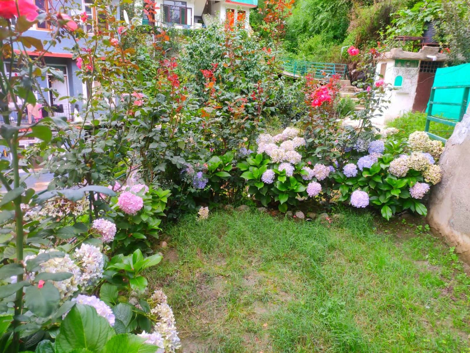 Cupidtrails Himalayan Castle Villa Manali  Phòng bức ảnh